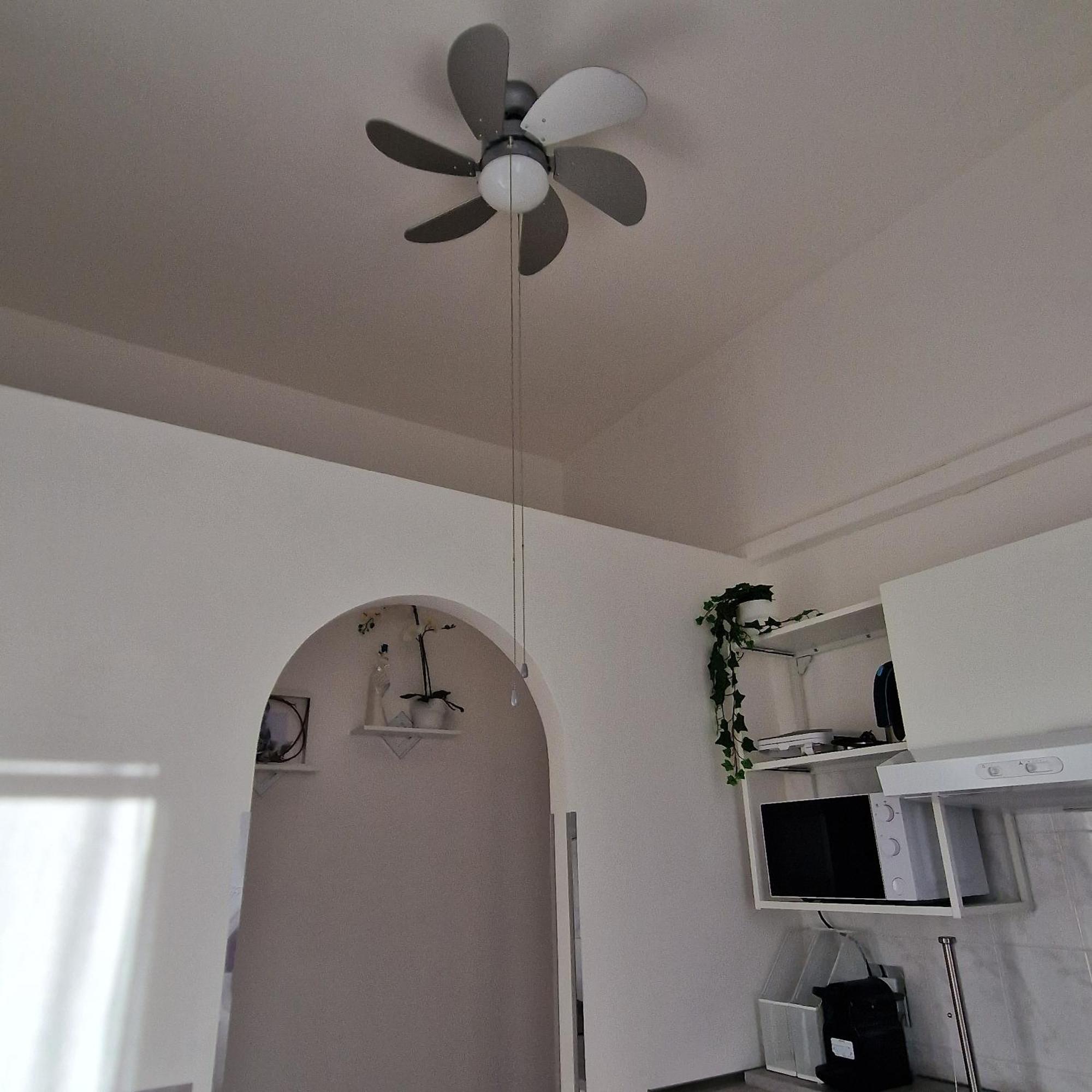 Cinzia'S House Of Mirrors Apartment Pisa Exterior photo